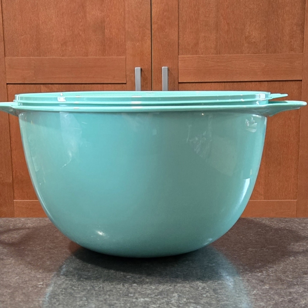 Tupperware 59 cup Thatsa Bowl